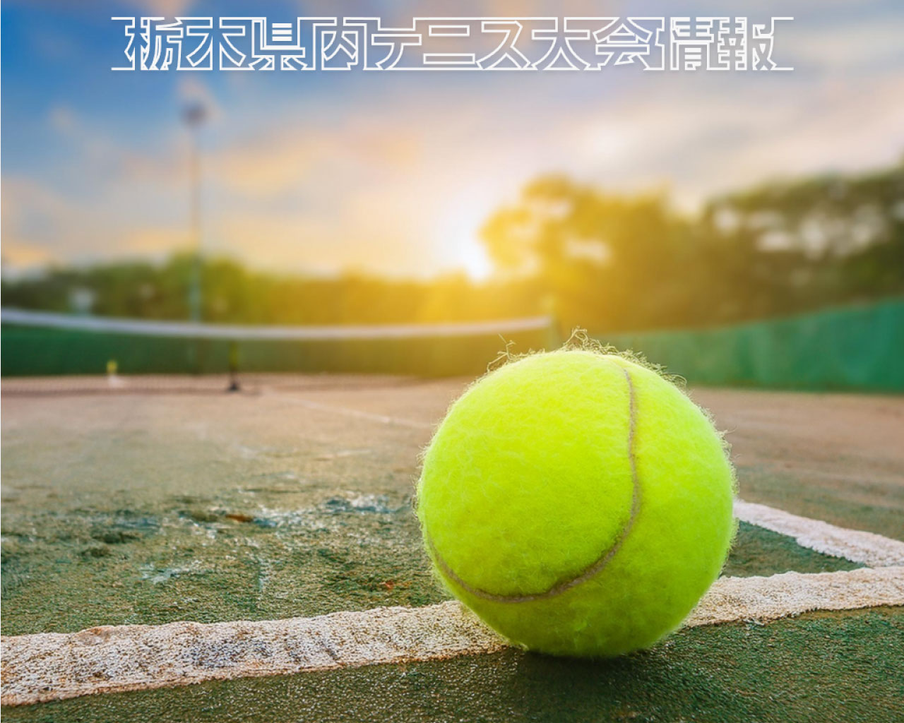 栃木県内テニス大会ホームページのサンプルの画像